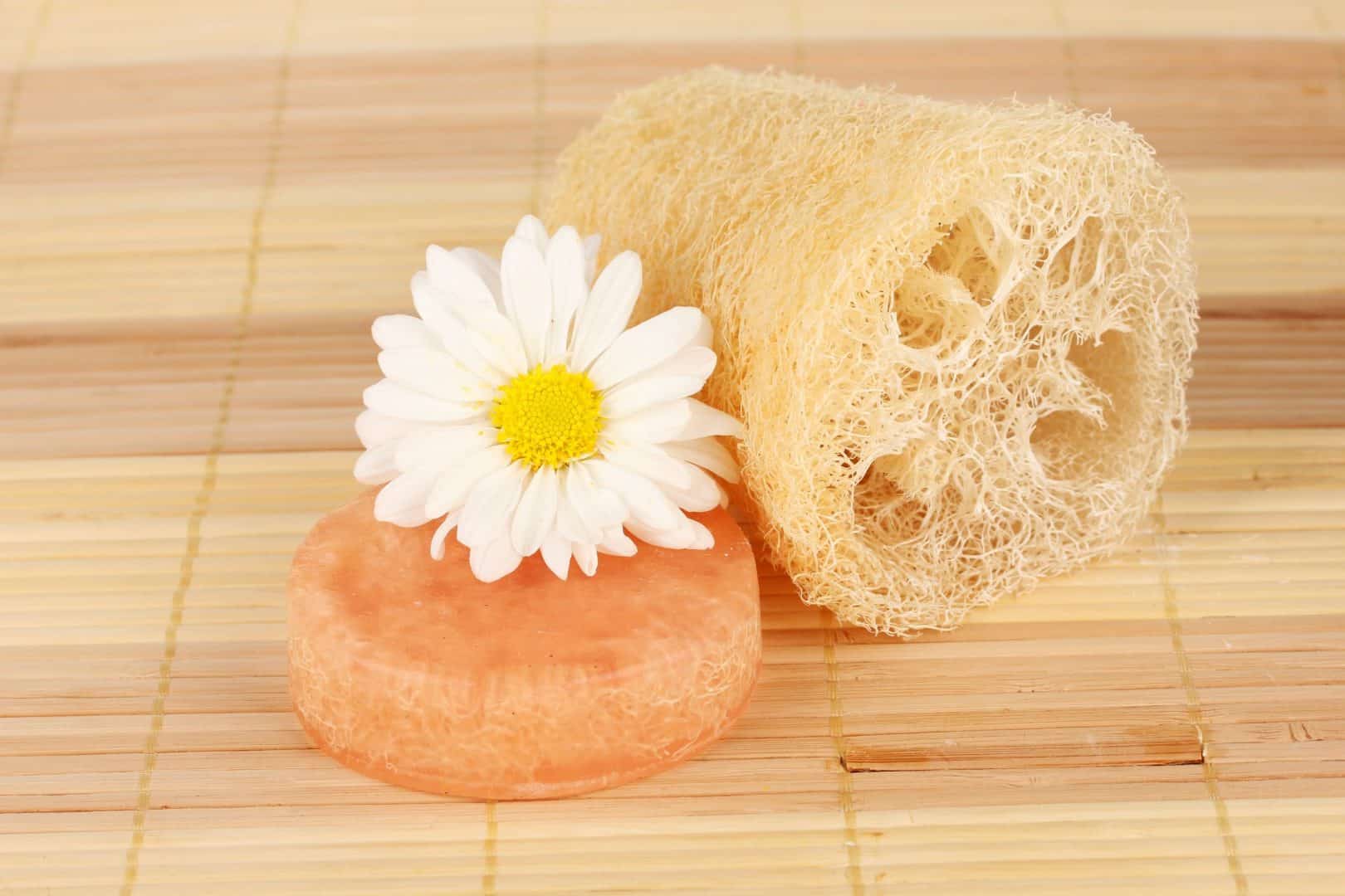 Bucha de banho - melhor opção de uso, tipos disponíveis e cuidados