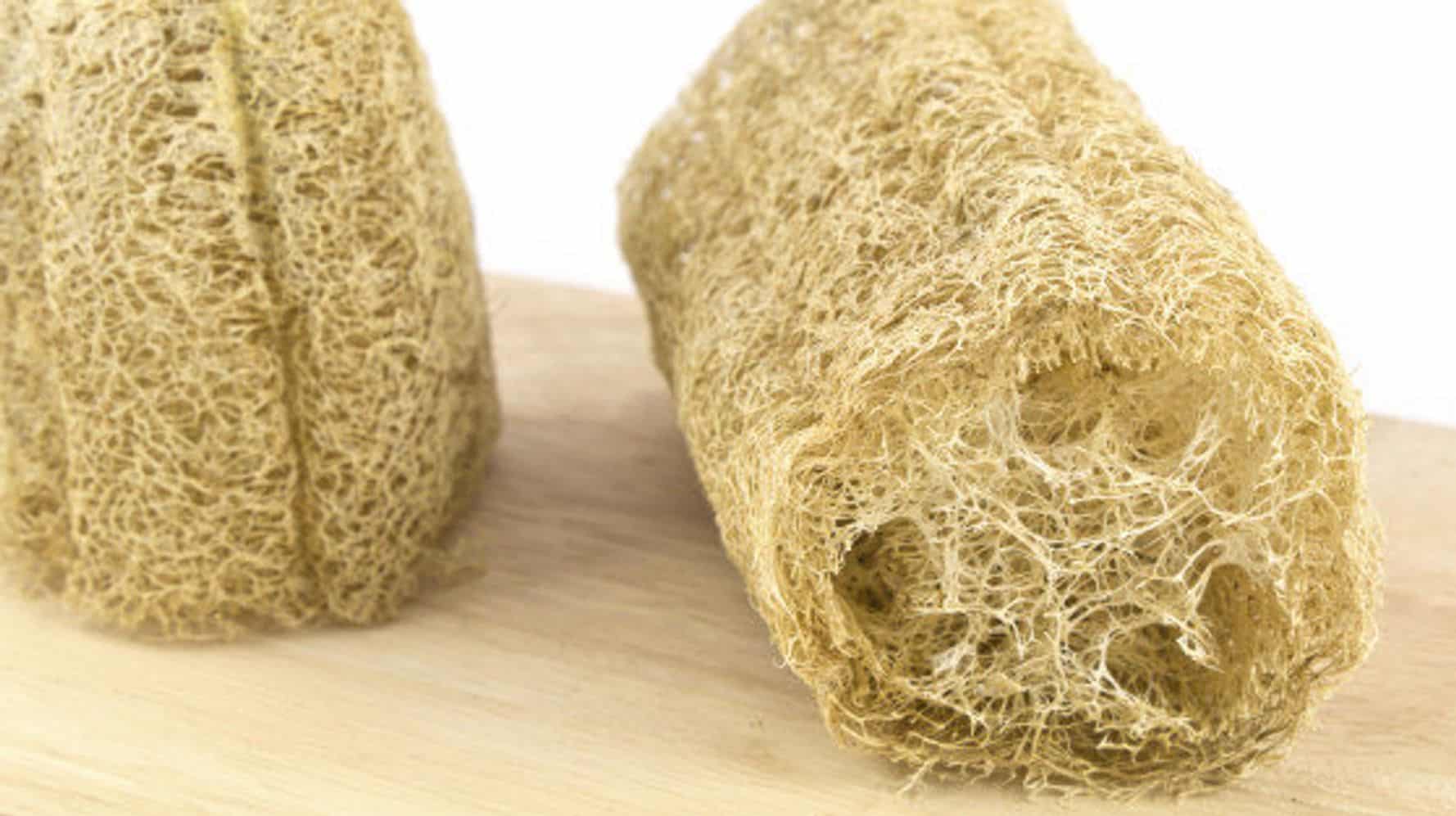 Bucha de banho - melhor opção de uso, tipos disponíveis e cuidados
